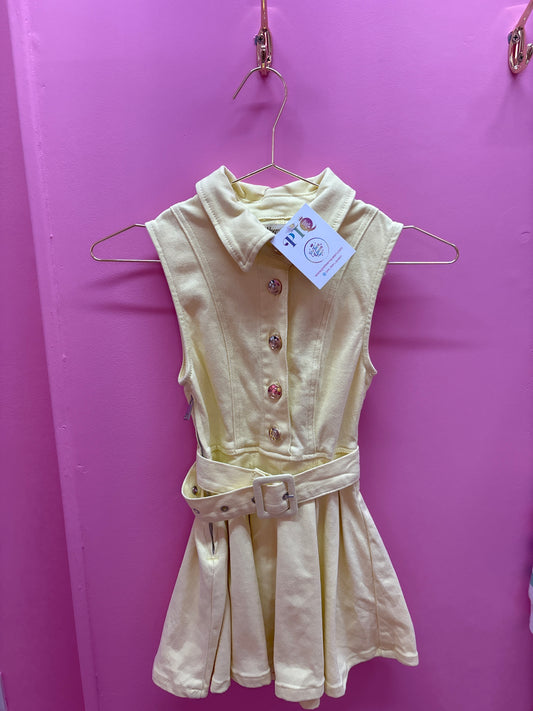 Daisy Denim Dress